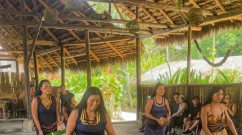 Ayahuasca Means "Vine of the Soul"