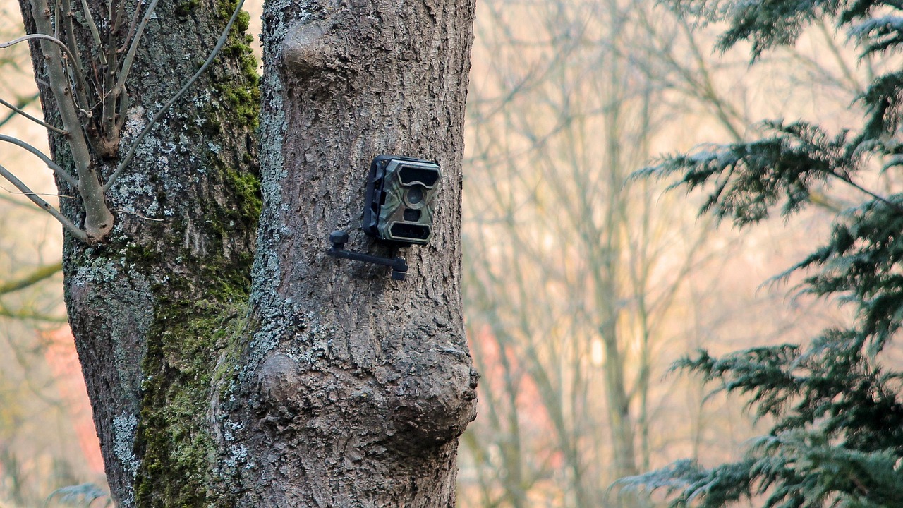 How Handover Software Supports 24/7 Wildlife Surveillance