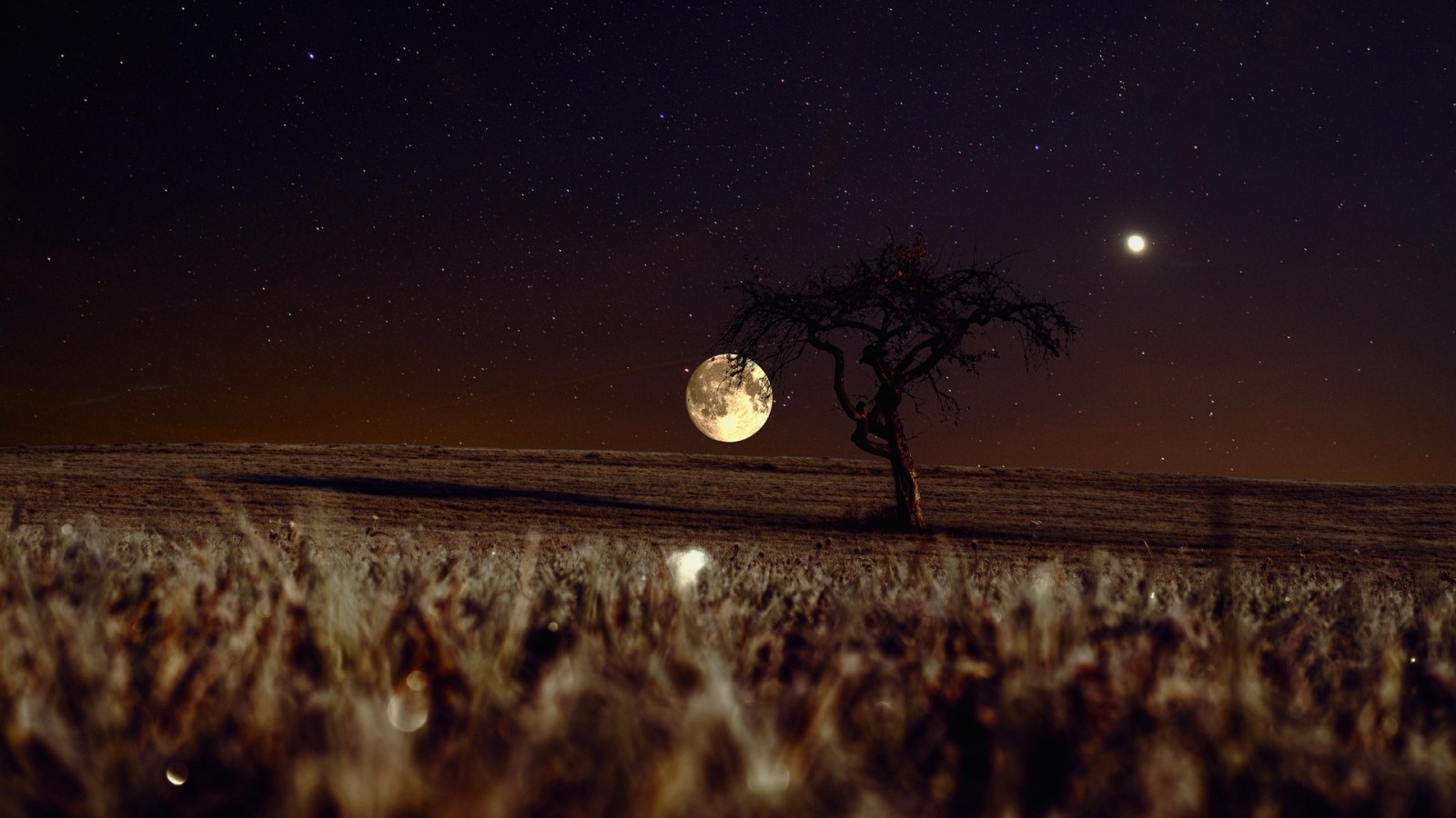 Moons