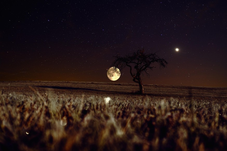 Moons