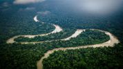 The Ecuadorian Amazon