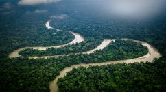 The Ecuadorian Amazon