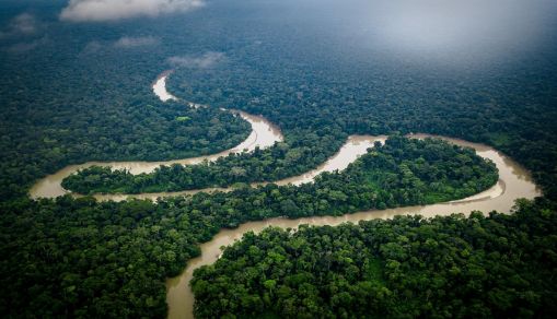 The Ecuadorian Amazon