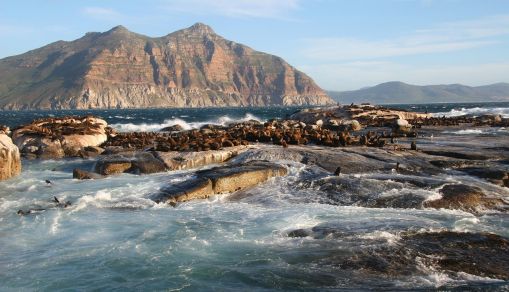 Cape Town Summits Spotlighting Africa's Drive for New Century