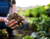 Rory Schmier: Maintaining Soil Health for Long-Term Agricultural Success