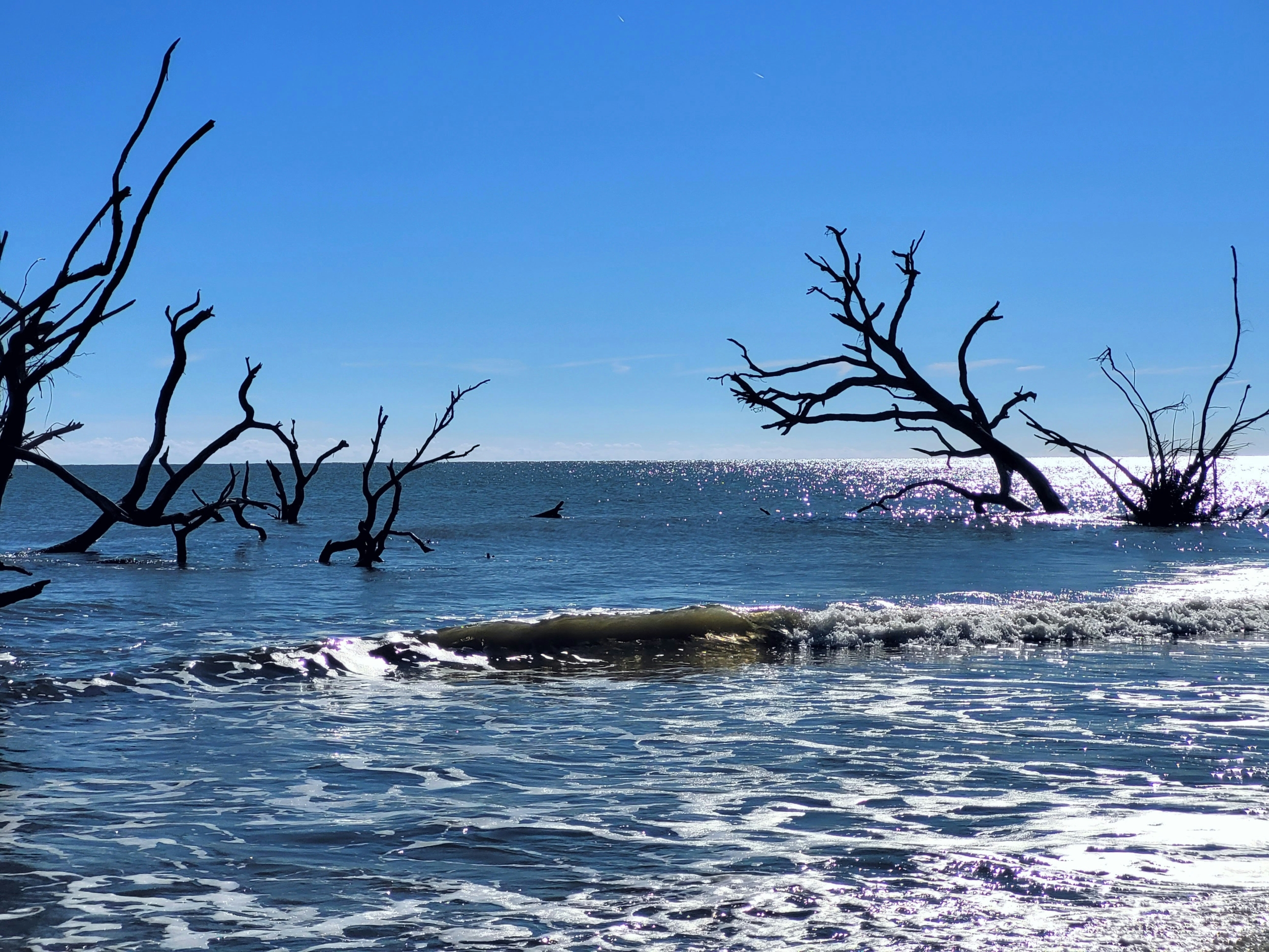 Rising Seas Unleashed: Why Coastal Hotspots Face Catastrophic Flooding and Climate Peril