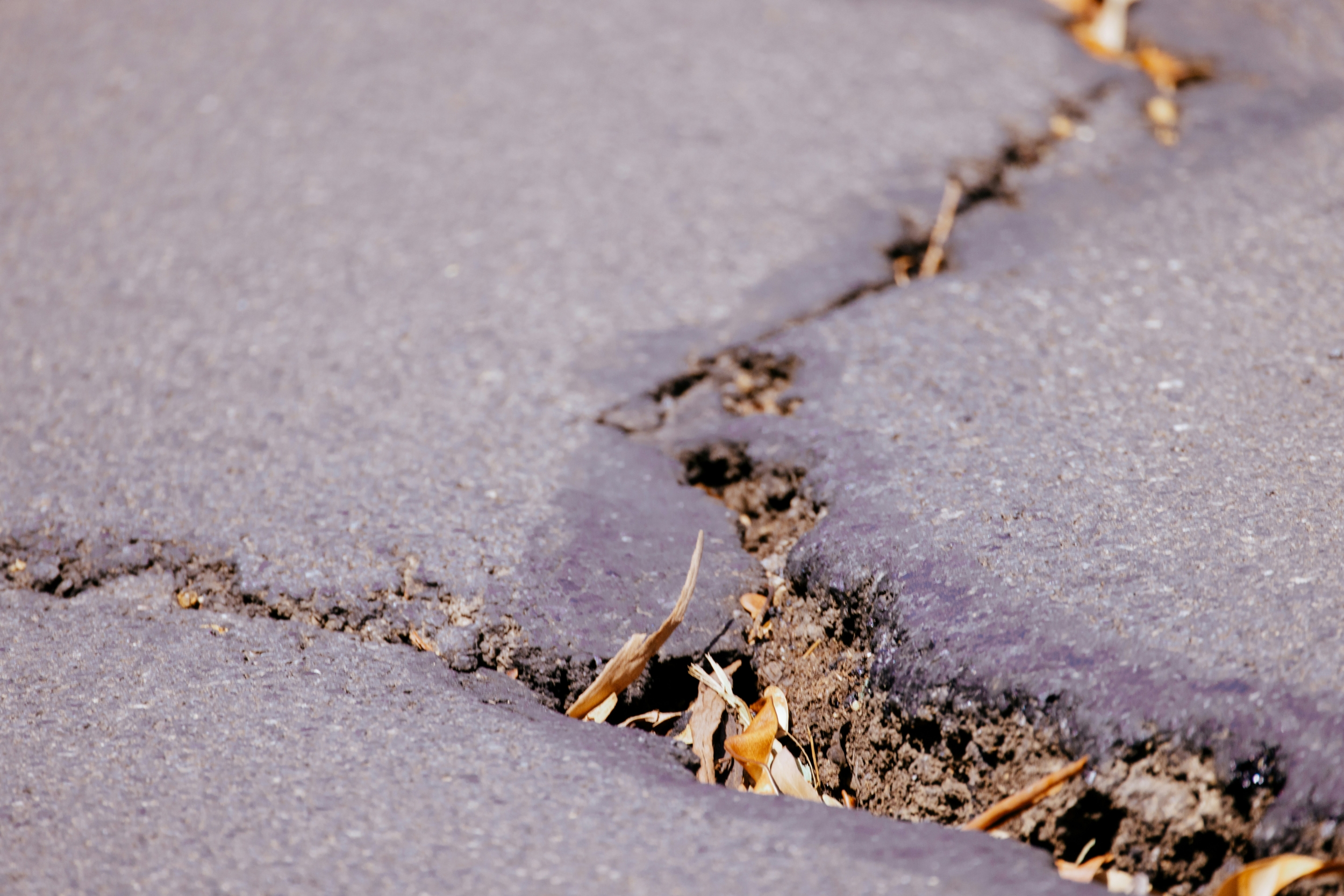 How Many Seconds Does Earthquake Early Warning Really Buy?