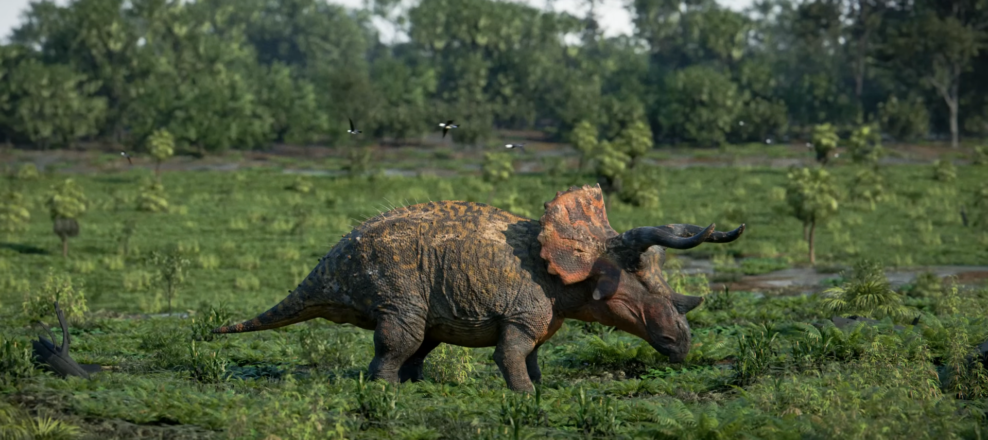 CT Scans Reveal How Triceratops Used Its Large Snout to Regulate Body Heat
