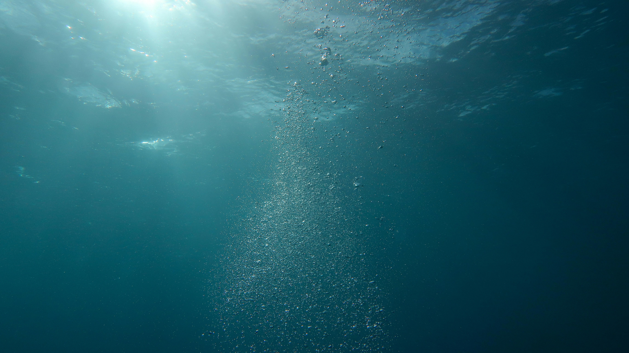 What Lurks in the Ocean Twilight Zone? Deep Sea Animals 1,000 Meters Below