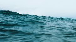 Ocean