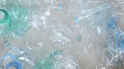 plastic pollution
