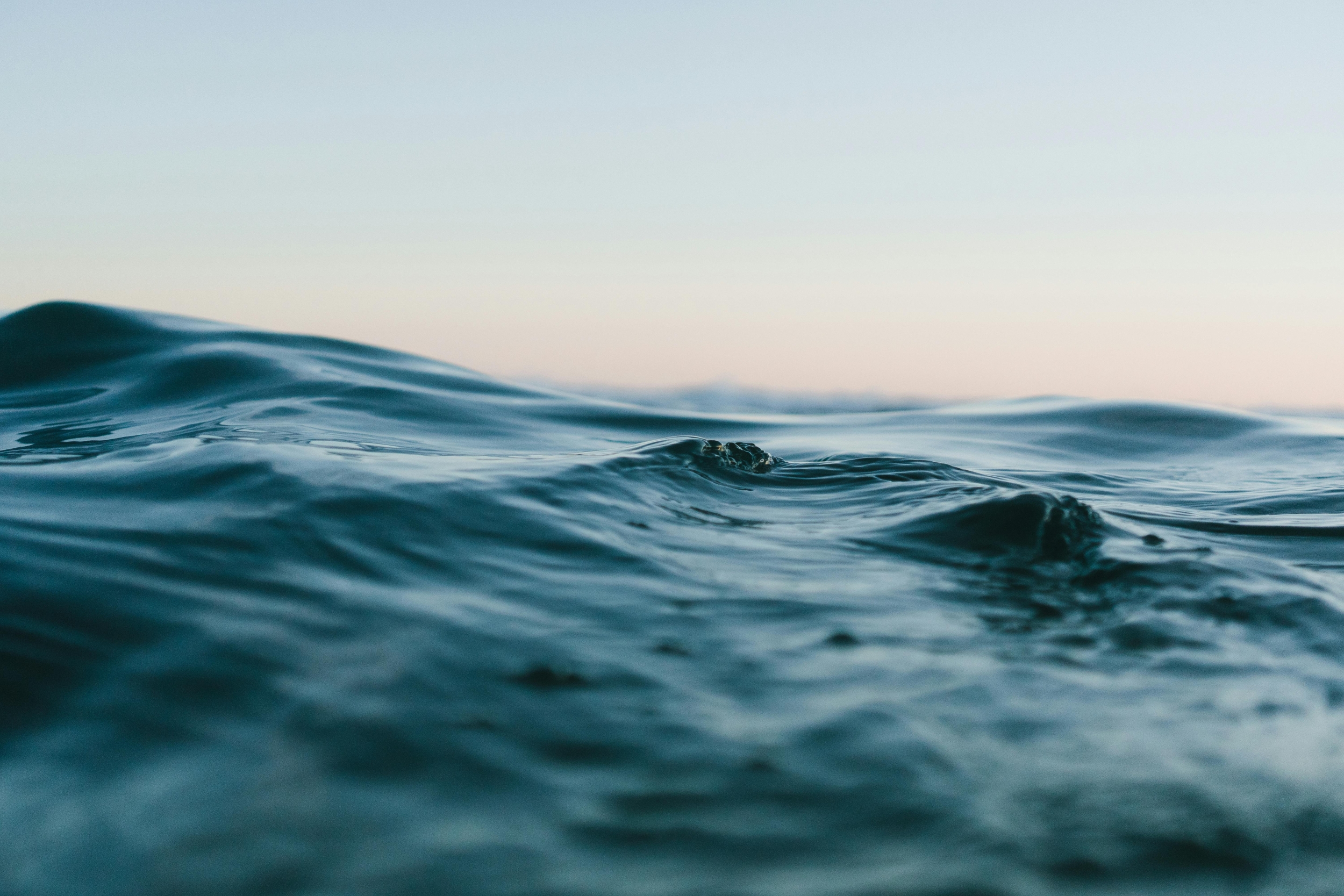 Ocean Acidification and Sea Level Rise: Why Marine Ecosystems Face Total Collapse