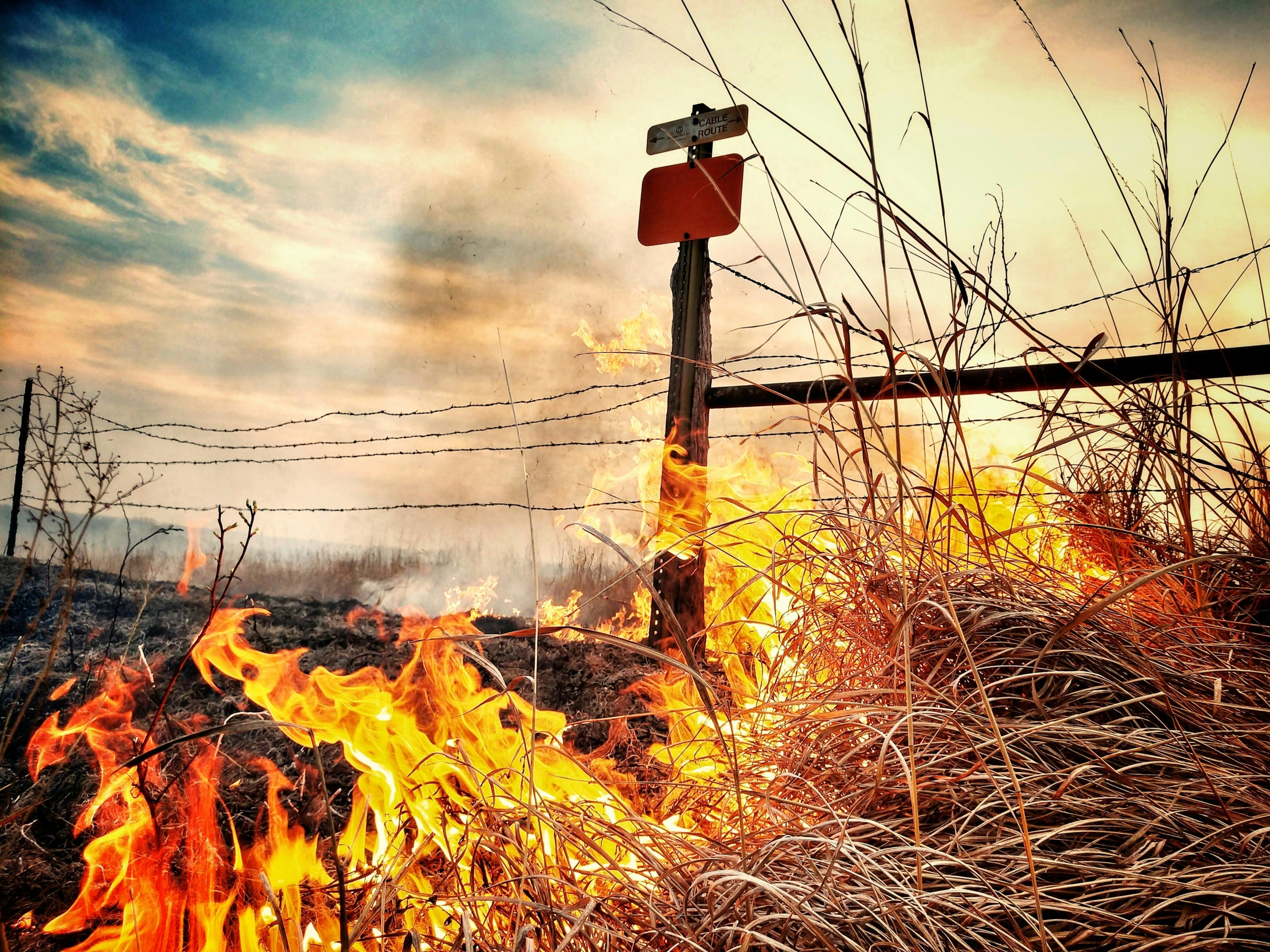 Wildfire Prevention Methods: Prescribed Burns, Fuel Reduction, Firebreaks & Defensible Space for Fire Season
