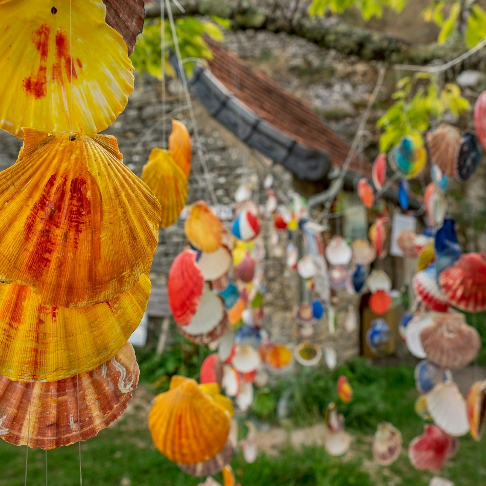 What Happens to Your Body During 500 Miles of Walking