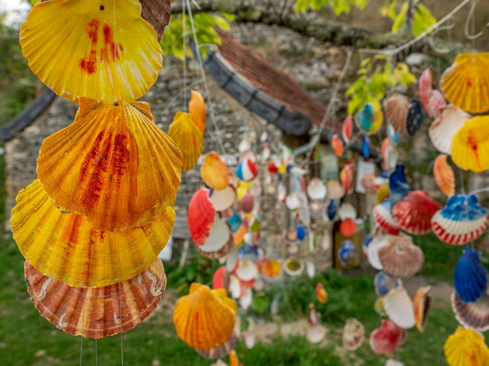 What Happens to Your Body During 500 Miles of Walking