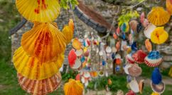 What Happens to Your Body During 500 Miles of Walking