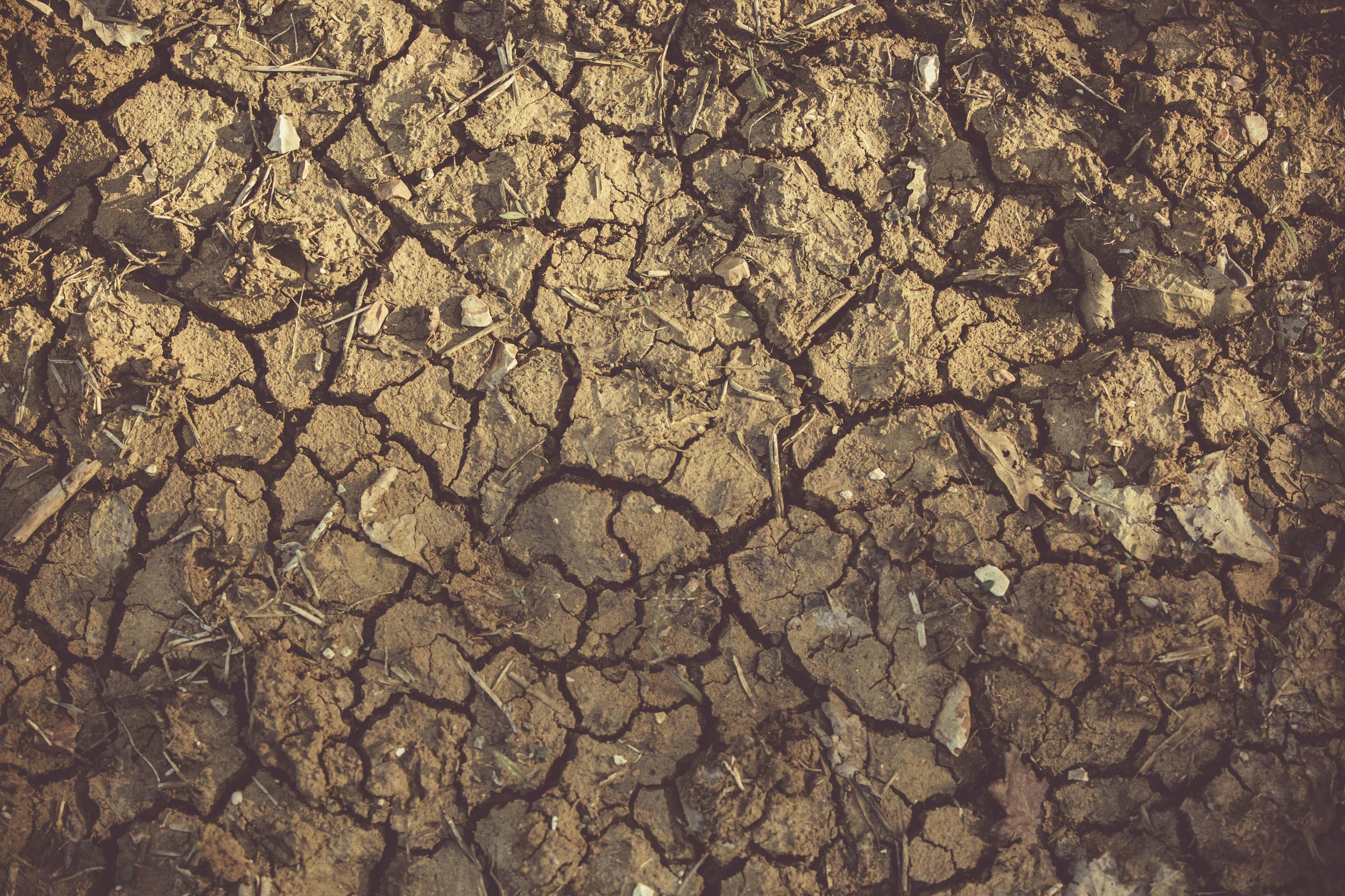 How Climate Change Adaptation Builds Heat-Resilient Cities, Drought Crops, Sea Walls & Retreat