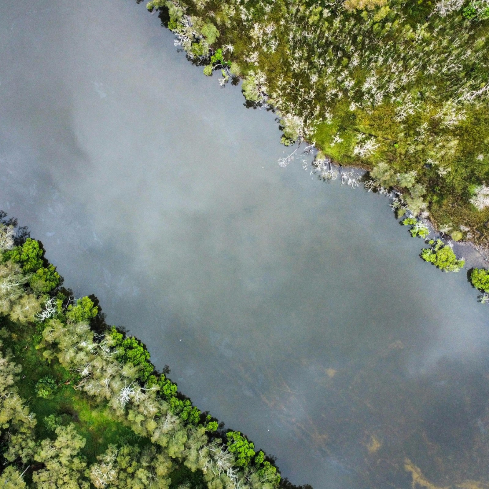 environment top view