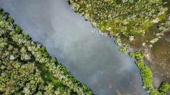 environment top view