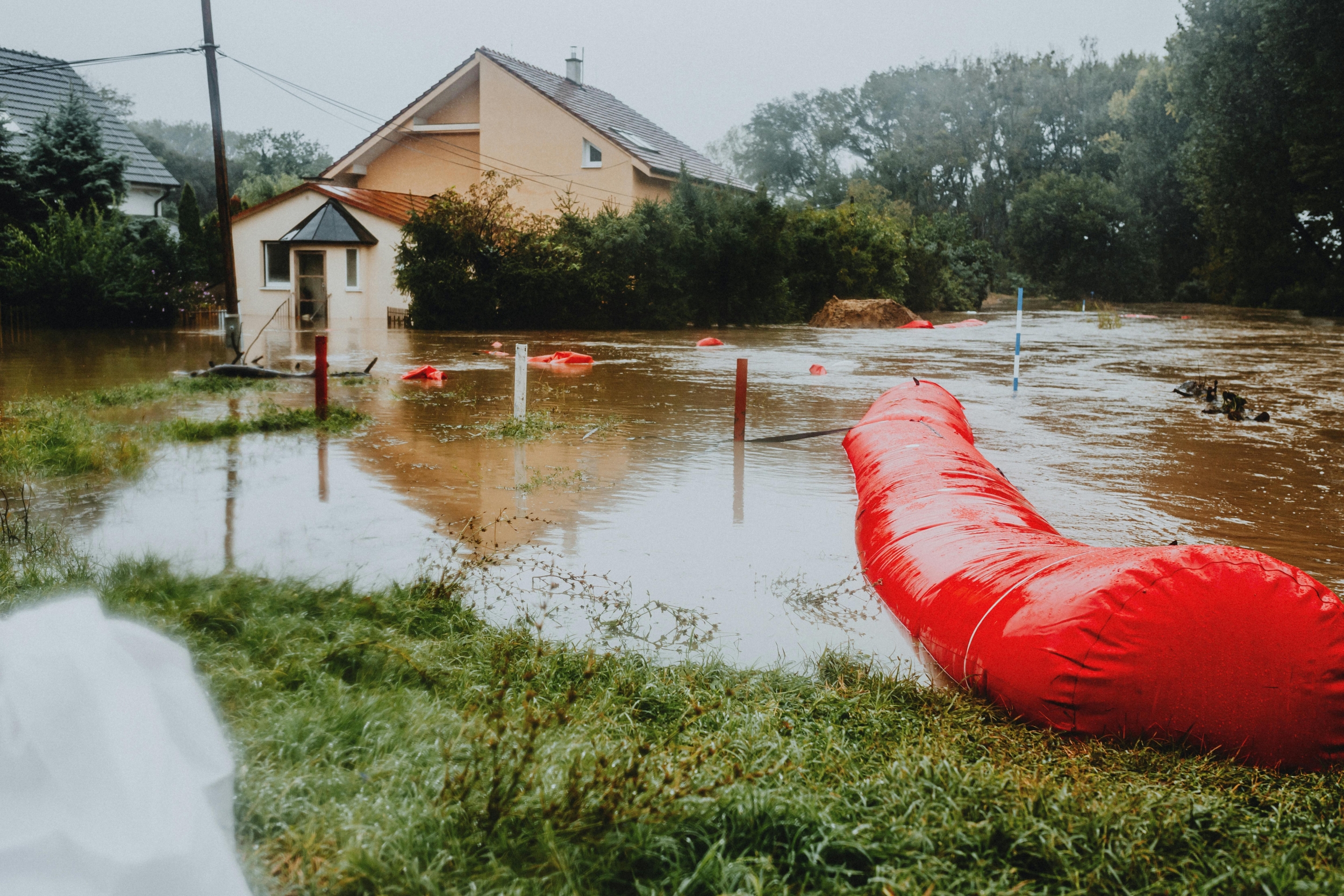 Flood Prevention Strategies: Natural Solutions, Riparian Buffers, and Water Management to Stop Floods Fast