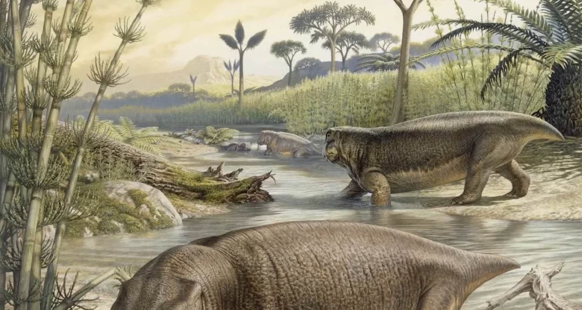 250-Million-Year-Old Fossil Egg Shocker: Lystrosaurus Embryo Proves Mammal Ancestors Laid Eggs