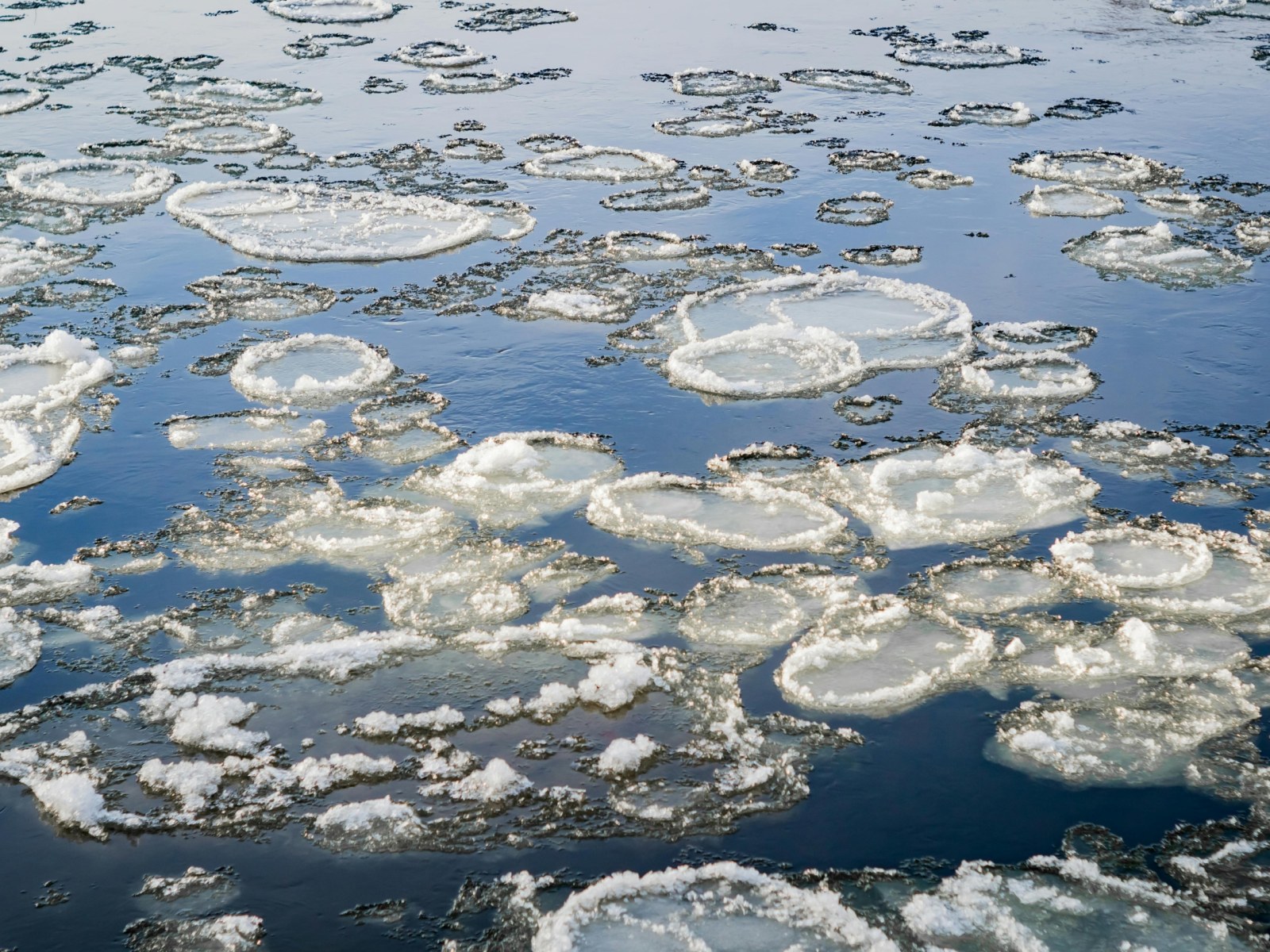 arcitc ice