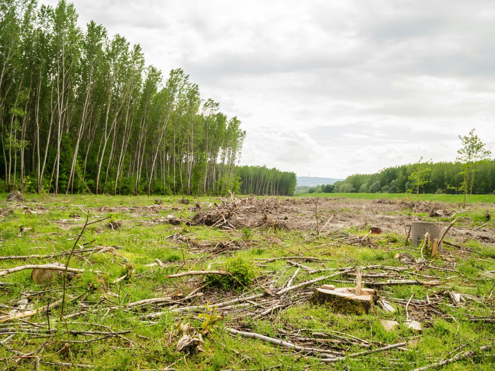 Nature Loss Catastrophic Risks Surge, New Environmental Tipping Points Report Warns of Global Crisis