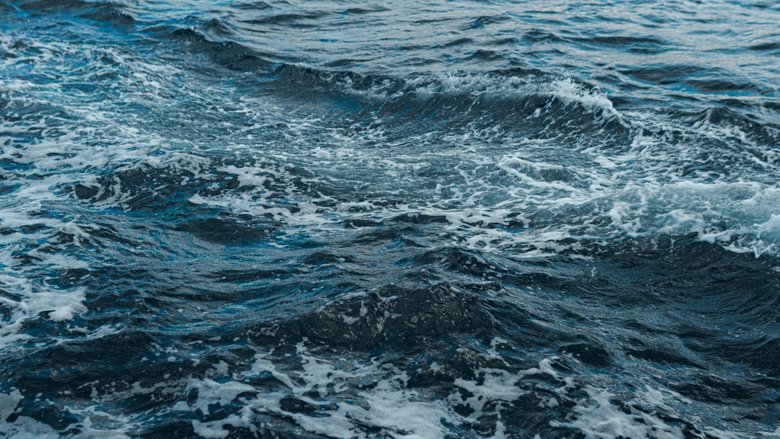 ocean