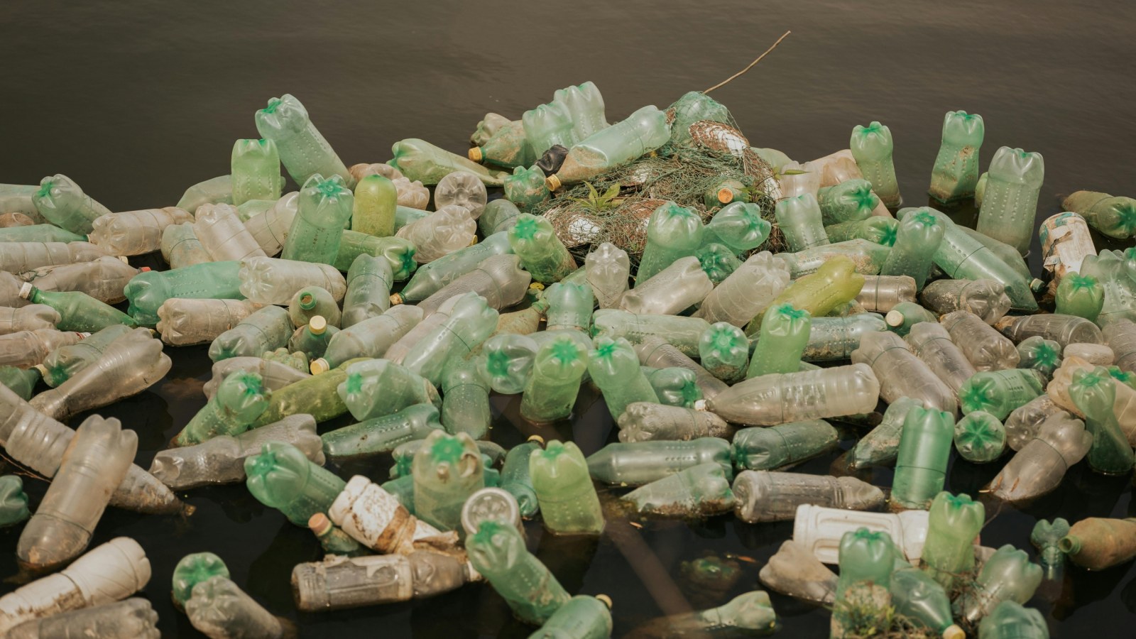 plastic bottles