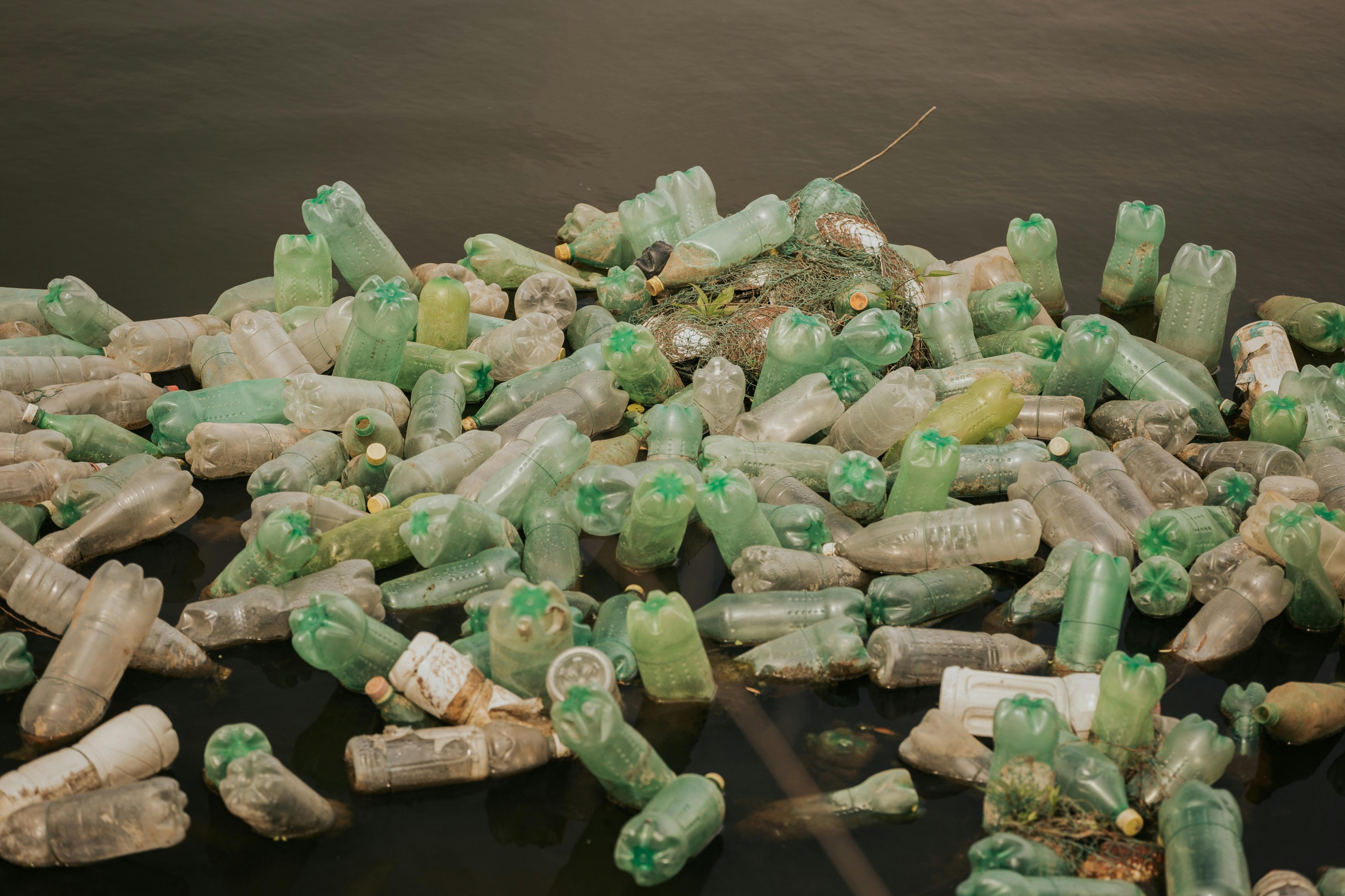plastic bottles