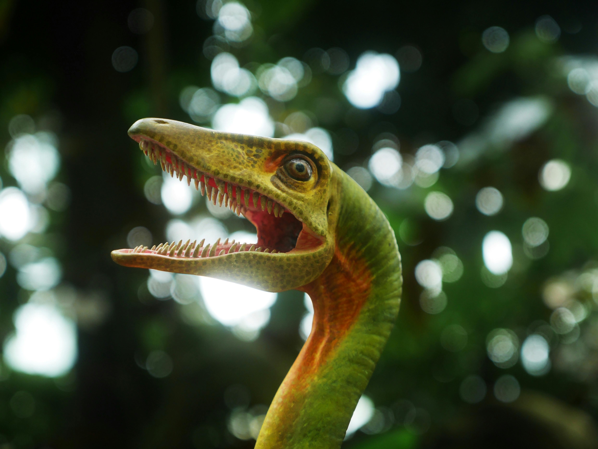 Scientists Discover Dinosaur Colors and Hidden Dinosaur Color Patterns Lost for Millions of Years