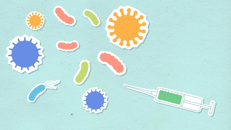 bacteria