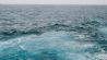atlantic ocean