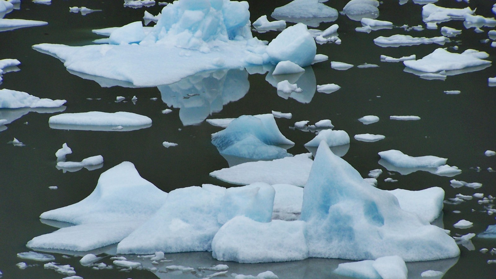 antarctica