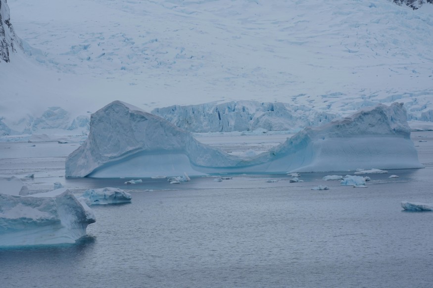 ice