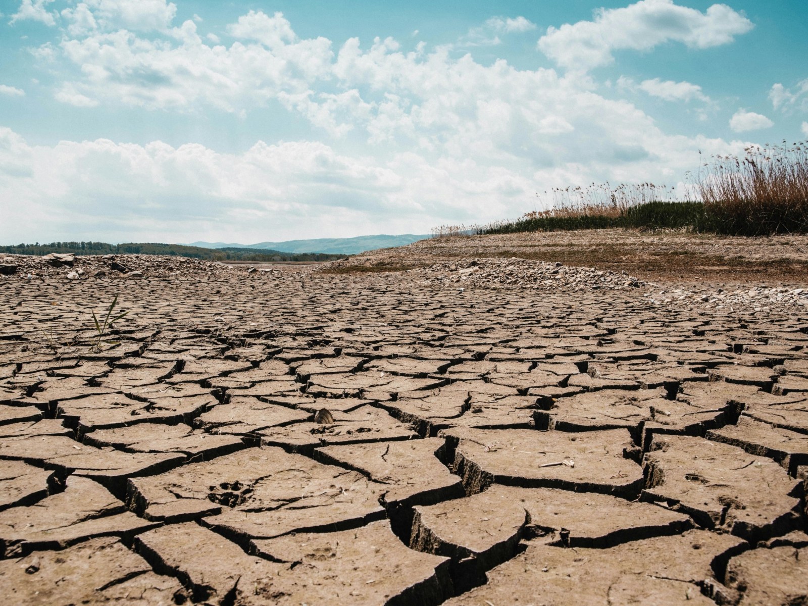 drought