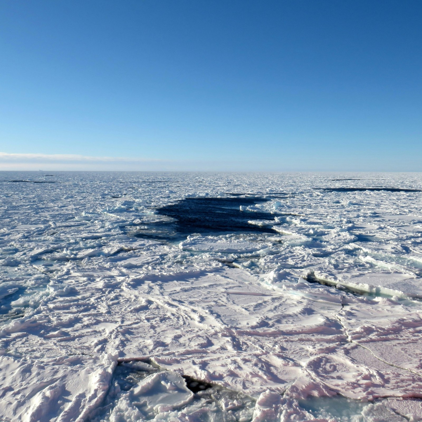 antarctica