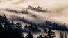 fog
