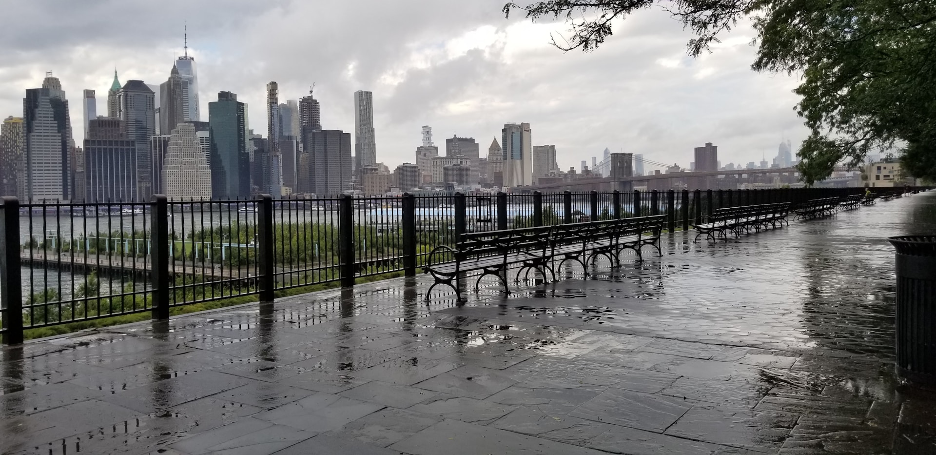 New York City's Flooding Problem Is a Man-Made Disaster