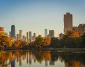 Beautiful fall foliage in Chicago
