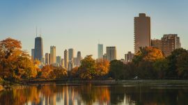 Beautiful fall foliage in Chicago