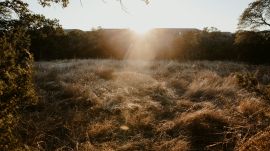 San Antonio's 7-Year Drought Just Eased