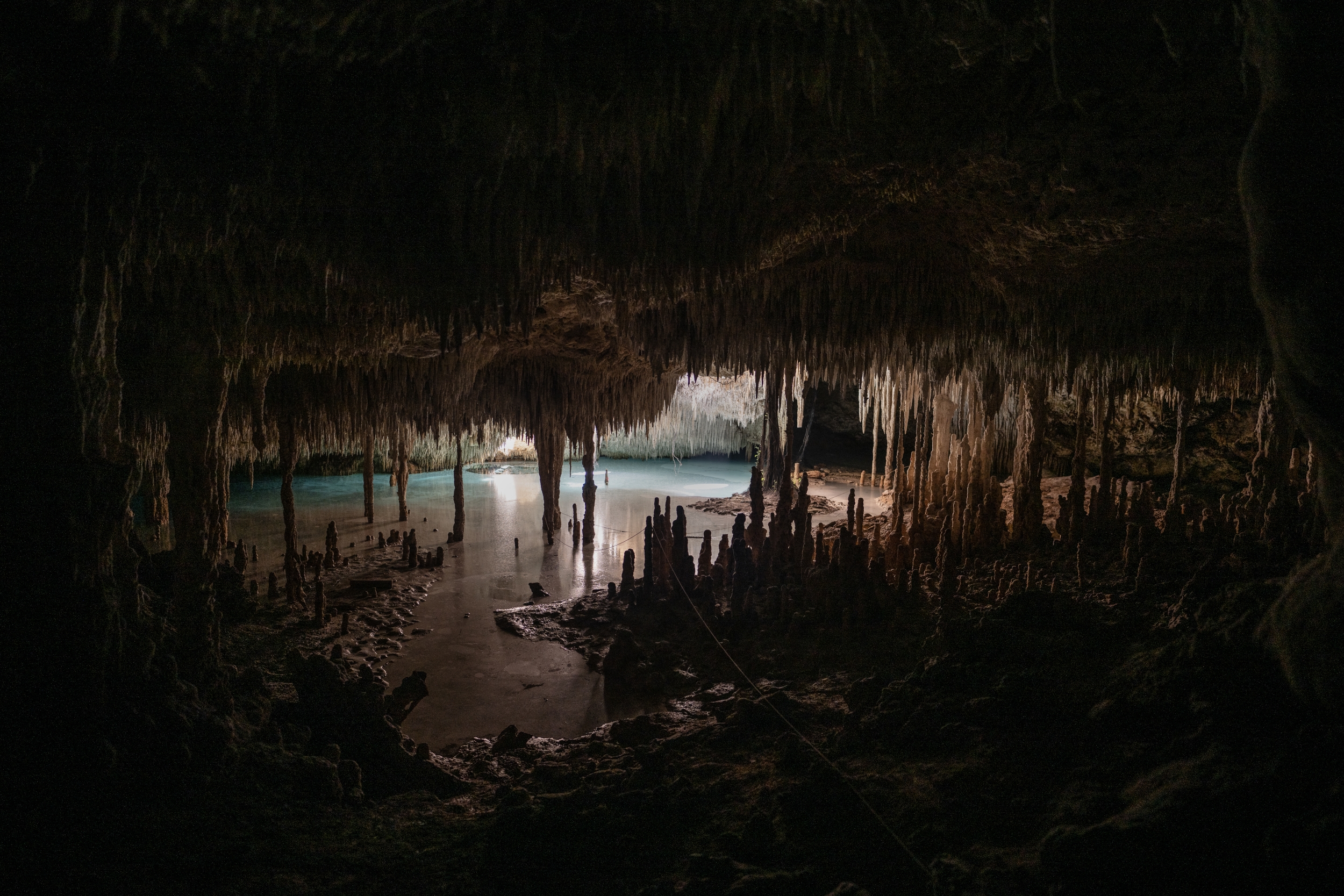 Underwater Cave Bones Reveal Hidden Clues to Extinct Megafauna, Giving Scientists a New Window into Earth's Ancient Past