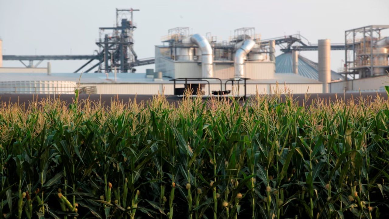 EPA Extends 2025 Biofuel Compliance Deadline to October After Issuing 34 Small Refinery Exemption Decisions