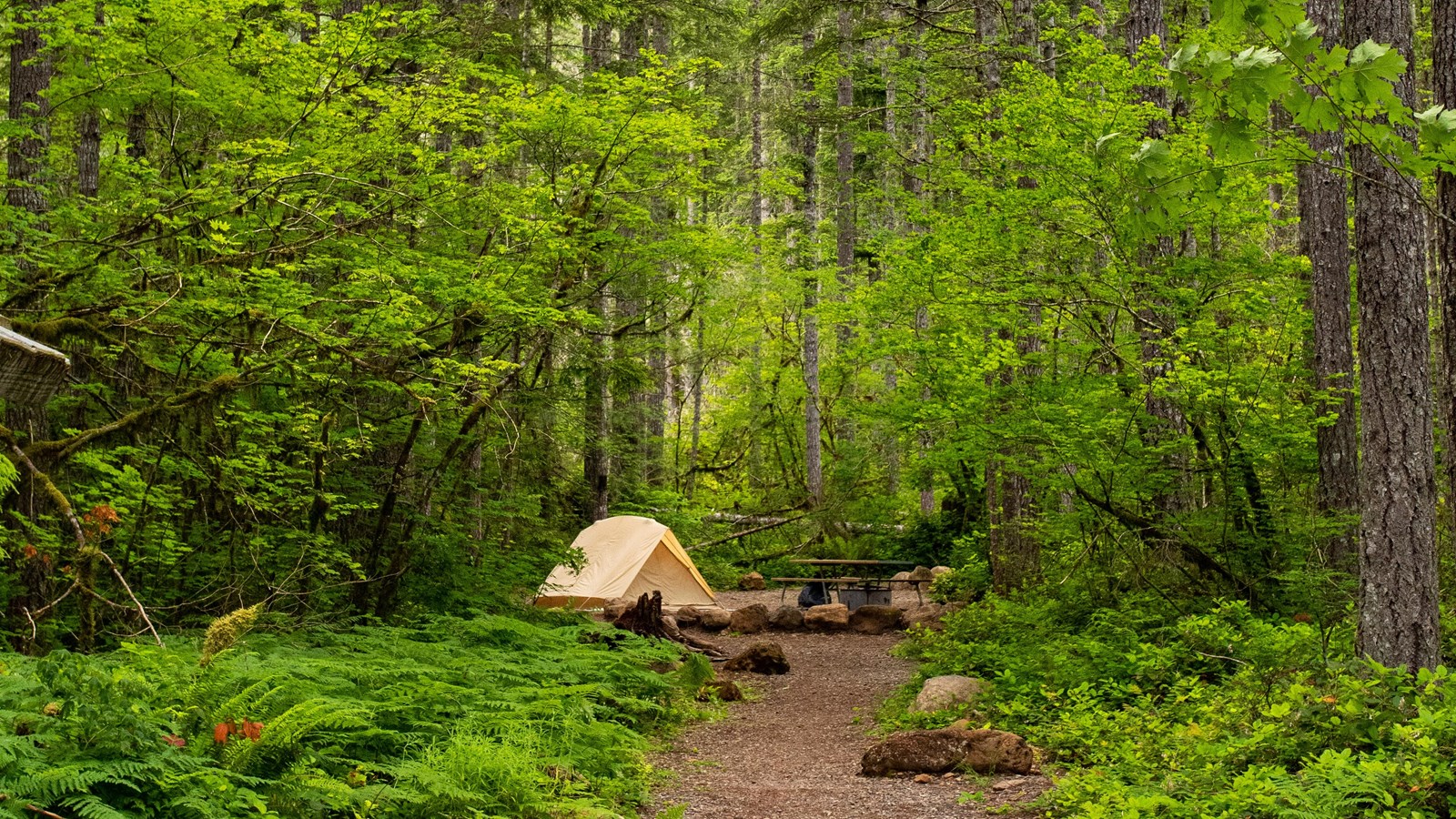 Forest Service Files Eleven Recreation Fee Proposals in One Day, From San Diego Backcountry to Puerto Rico