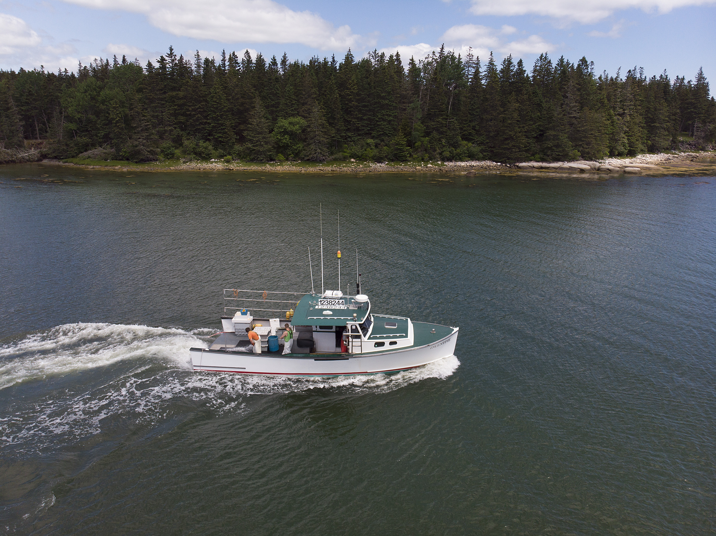 Open Woods Hole Meeting Will Peer Review Gulf of Maine Haddock and American Plaice Assessments