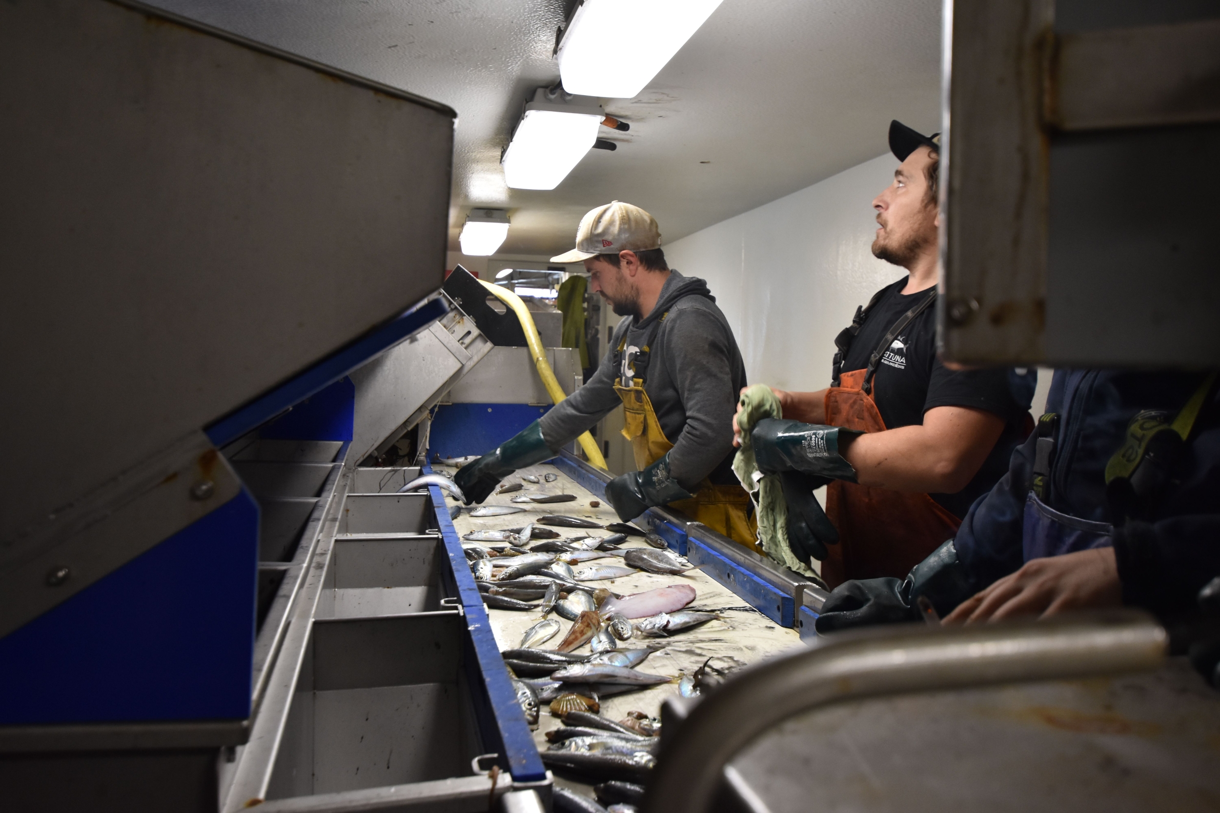 EPA Proposes Ending Clean Water Act Discharge Permits for Processing Ships Beyond Three Miles