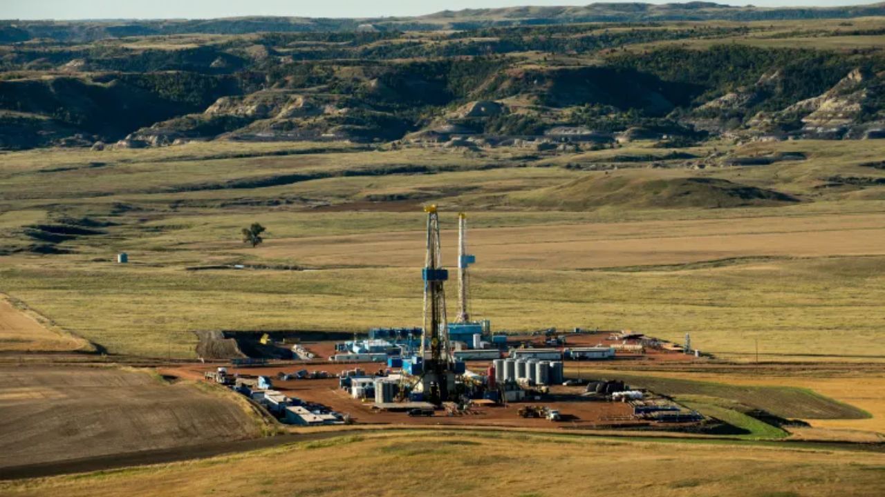 Oil Operators on Wildlife Refuges Must Report Animal Deaths Within 24 Hours Under Rules Now Open for Comment