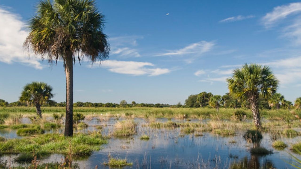 Federal Water Rule Option Would Limit Clean Water Act Coverage to Year-Round Streams