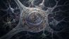 DNA Folding Differs in Alzheimer's Brain Cells, Adding a Layer Beyond Amyloid and Tau